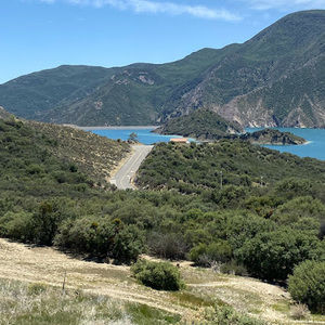 Meet your Posher, Betty